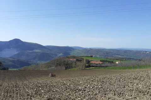 terreni Colmarino