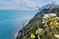 zona di raccolta miele Apicoltura del Conero3